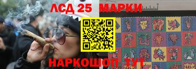 ПСИЛОЦИБИНОВЫЕ ГРИБЫ Кимры