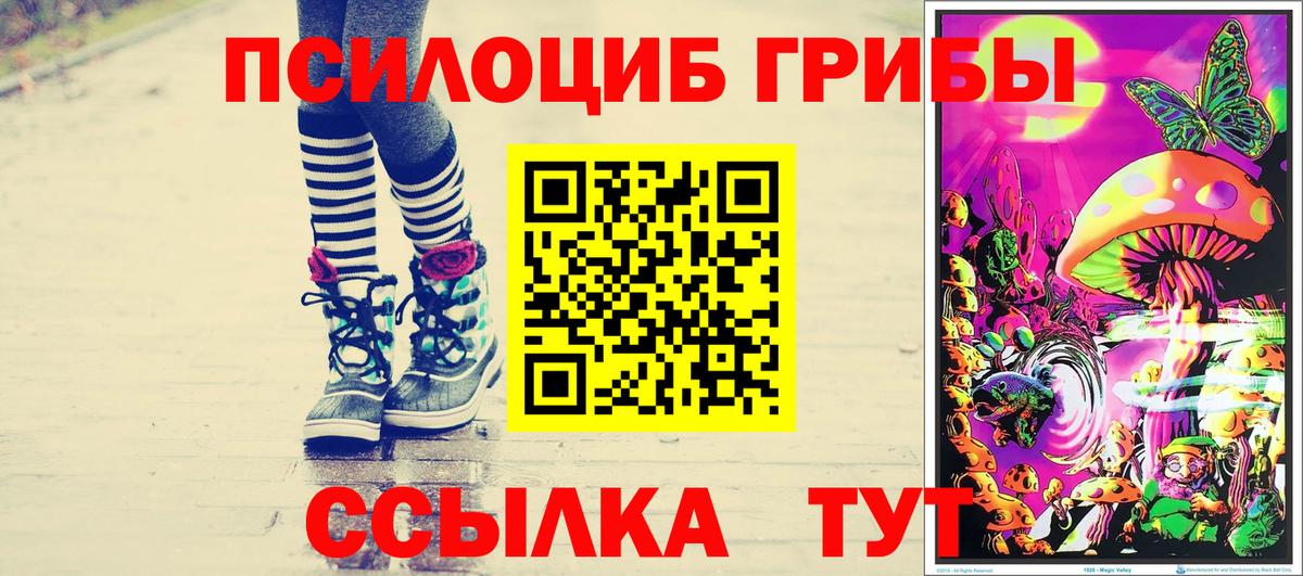 Галлюциногенные грибы мухоморы  Вход с VPN  Курчалой 